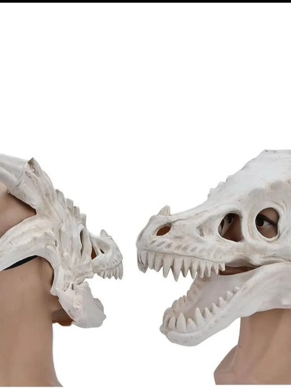 N/A realistic dragon